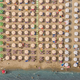 Illustration for article titled Aerial Shots of Beach Show Man Wringing Order From Nature